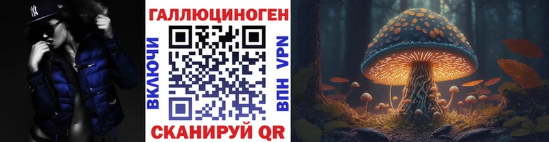 Купить закладки  Вольск  Псилоцибиновые грибы Magic Shrooms 